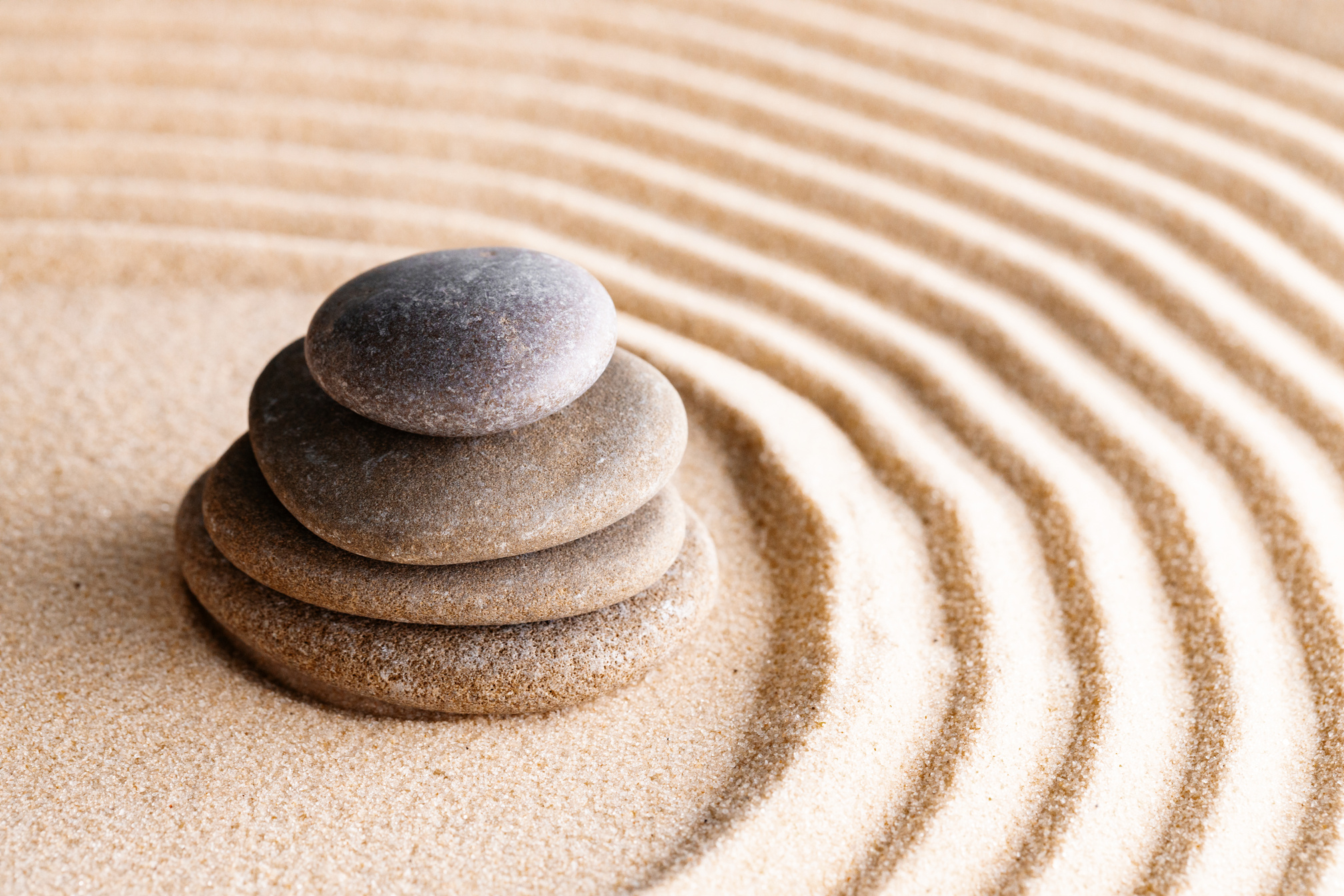 Japanese zen garden with stone in raked sand